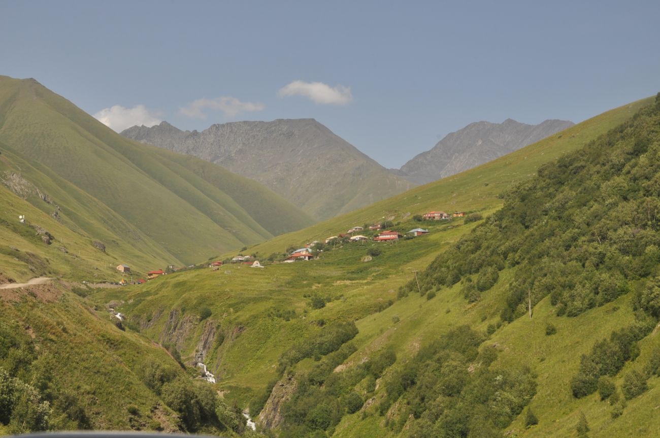 Долина реки Джута, image of landscape/habitat.