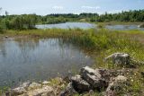 Елизаветинский карьер, image of landscape/habitat.