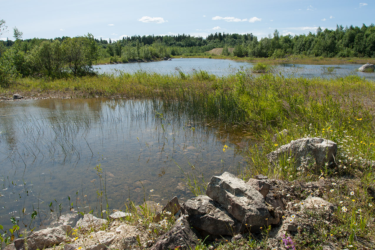 Елизаветинский карьер, image of landscape/habitat.