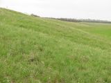 Image of landscape