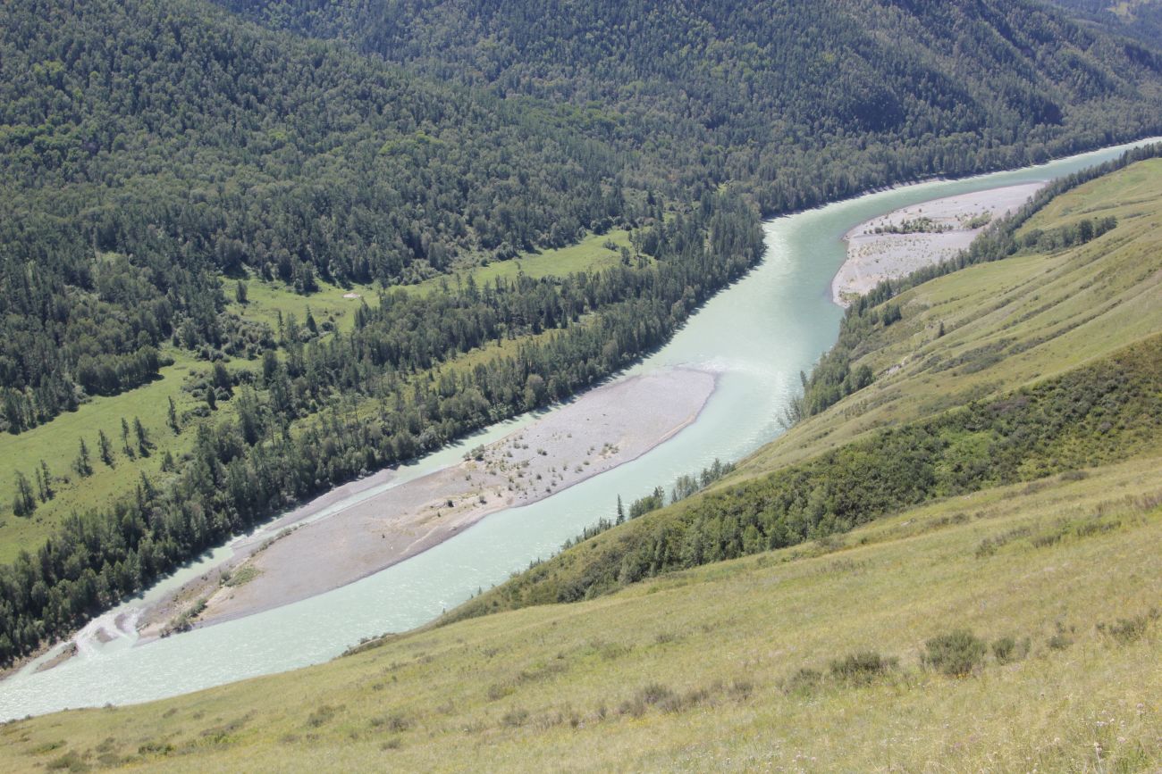 Окрестности лога Ядрушка, image of landscape/habitat.