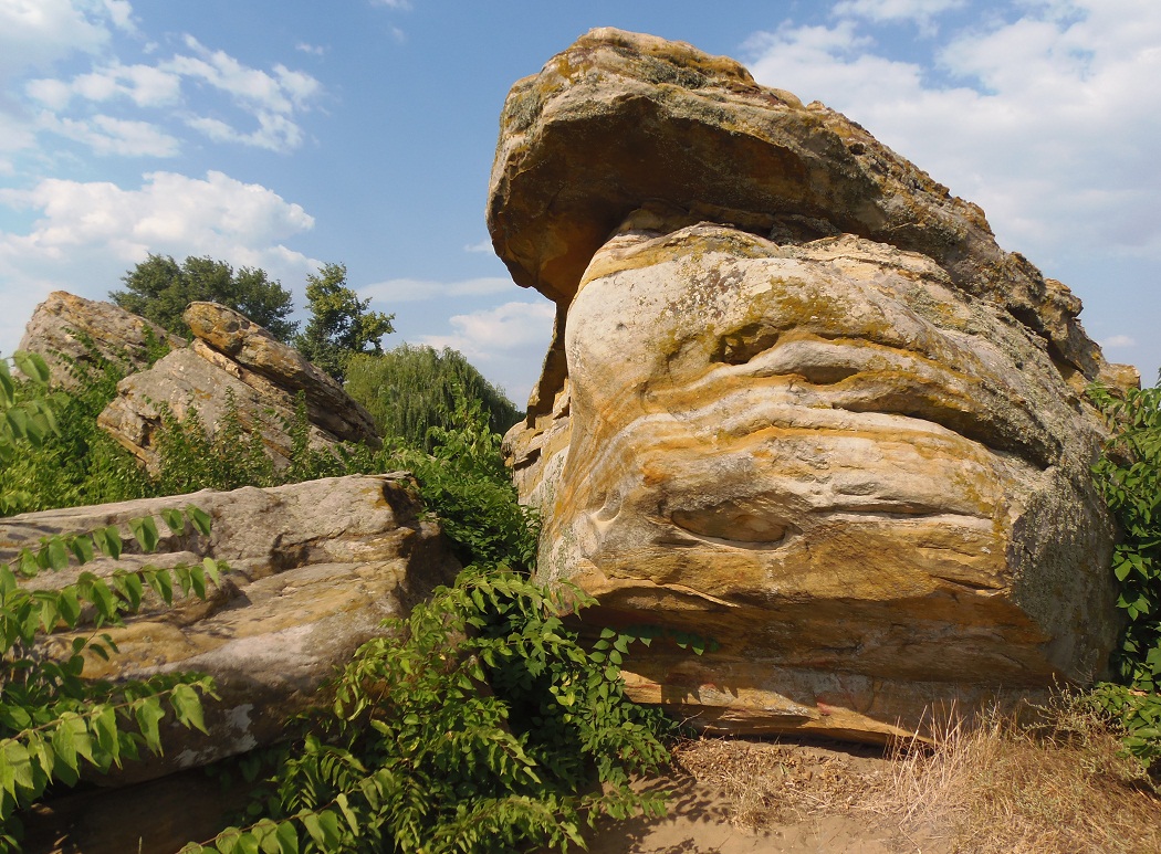 Каменная могила, image of landscape/habitat.