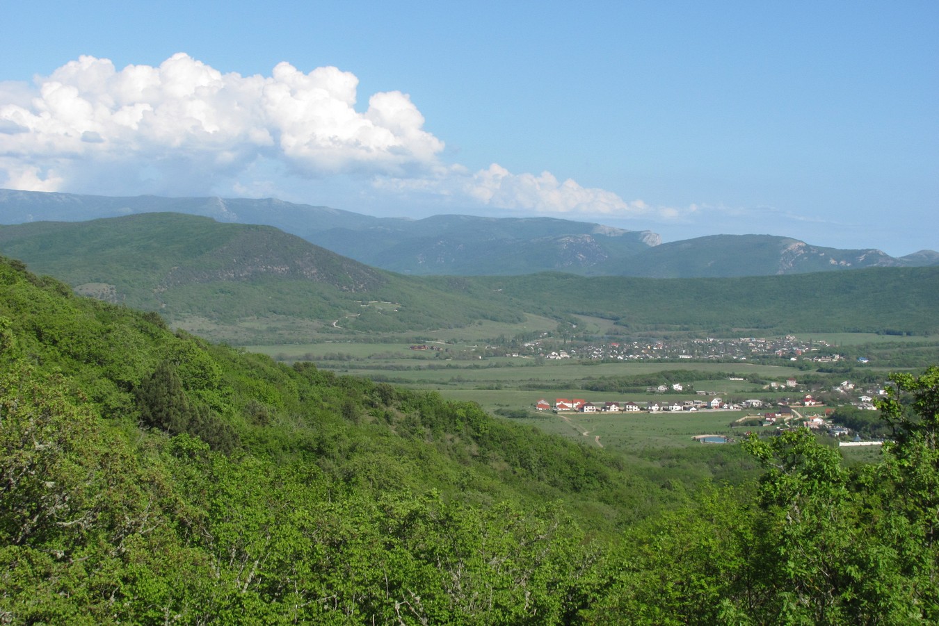 Варнутская долина, image of landscape/habitat.