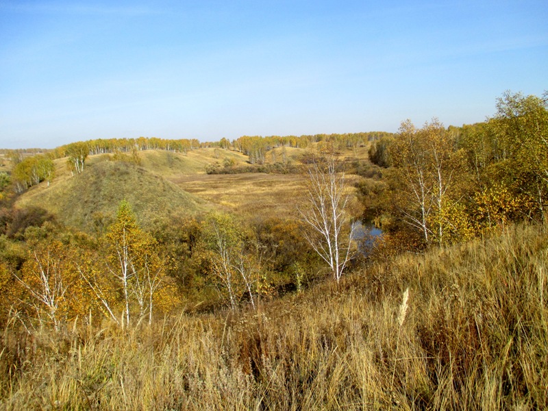 Долина реки Шипунихи, image of landscape/habitat.