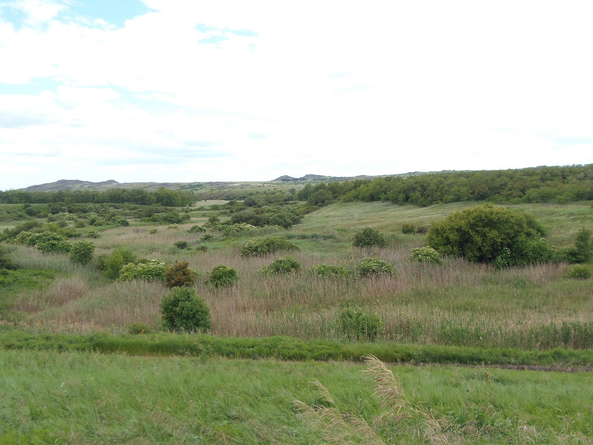 У Каменных могил, image of landscape/habitat.