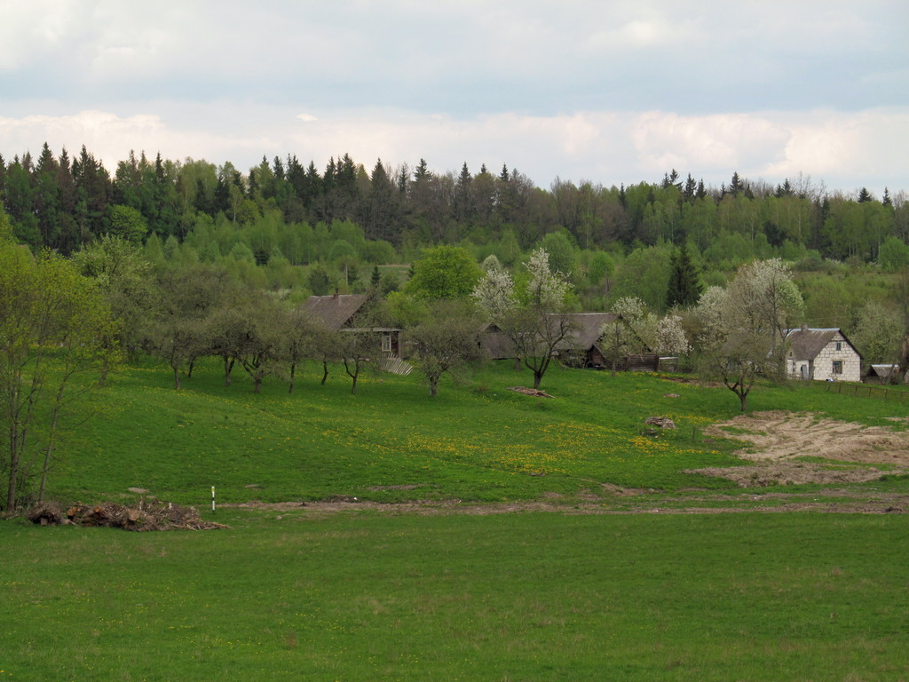 Литовка, image of landscape/habitat.