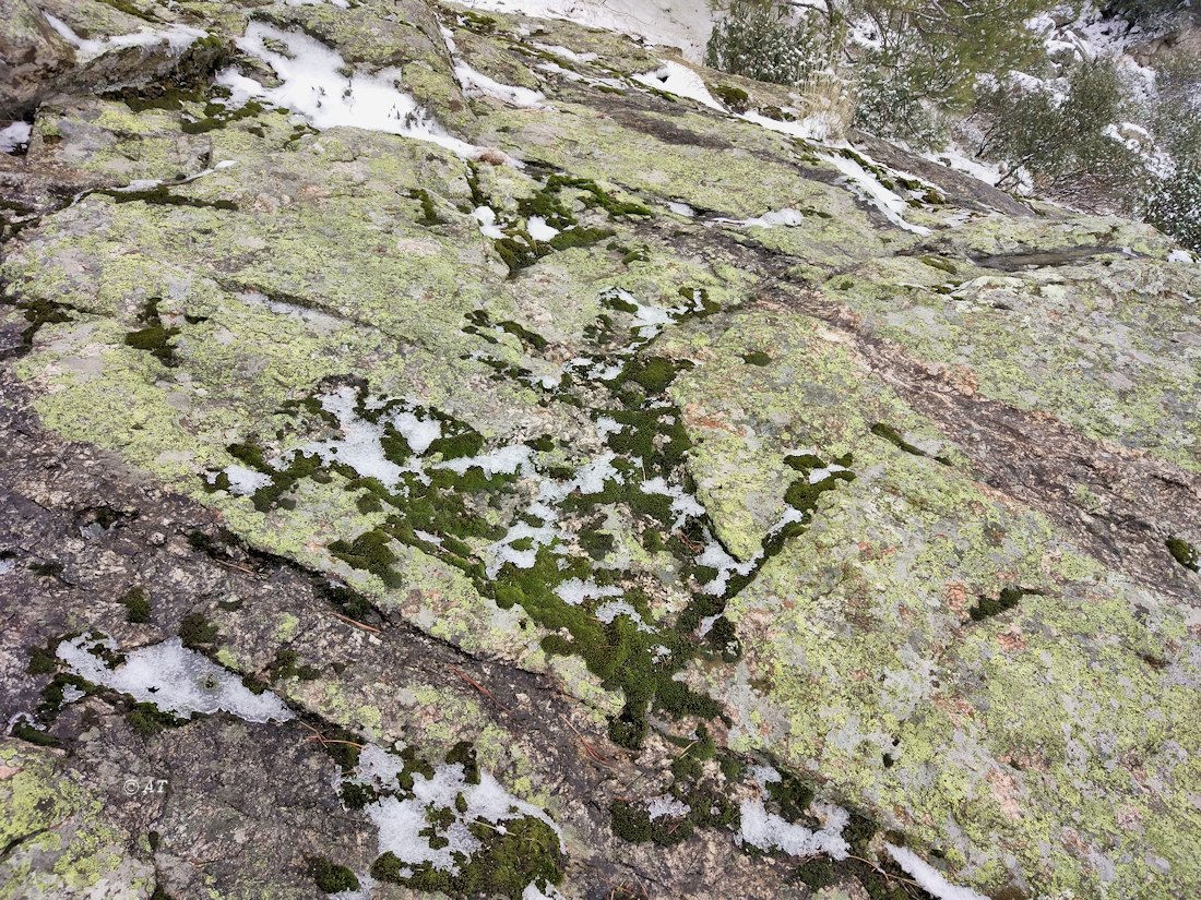 Аbantos (гора стервятников), image of landscape/habitat.