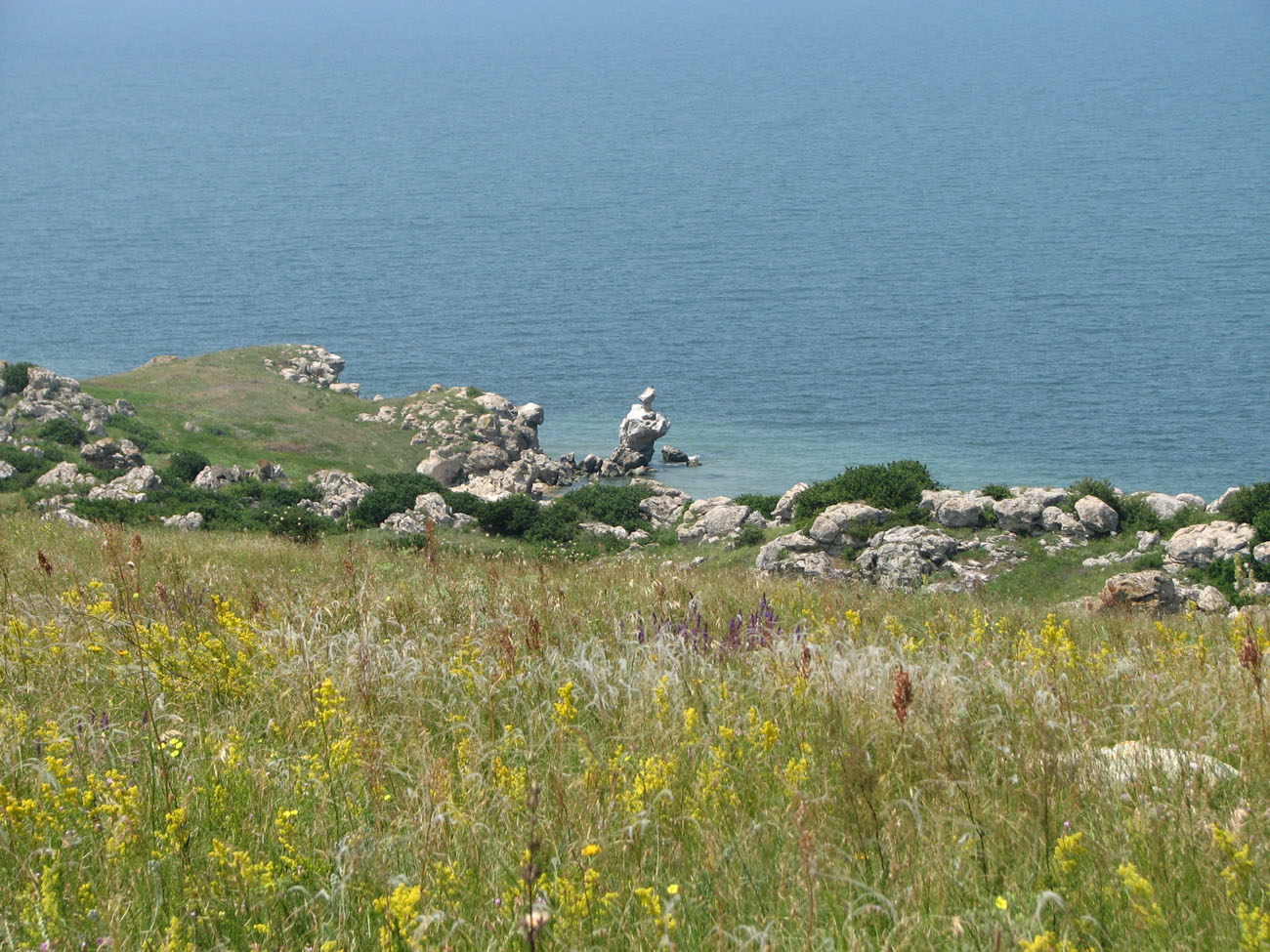 Караларская степь, image of landscape/habitat.