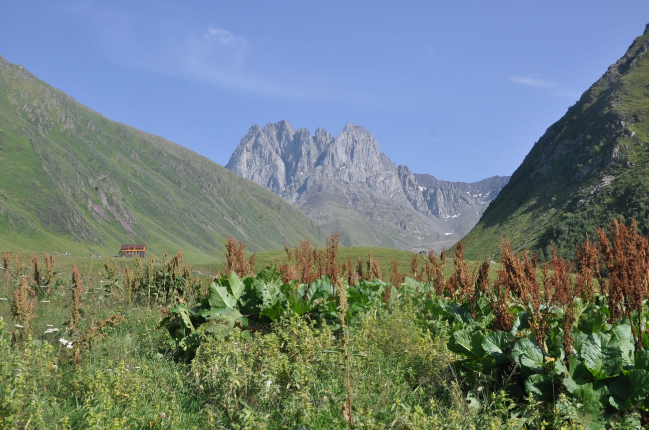 Долина ручья Чаухицхали, image of landscape/habitat.