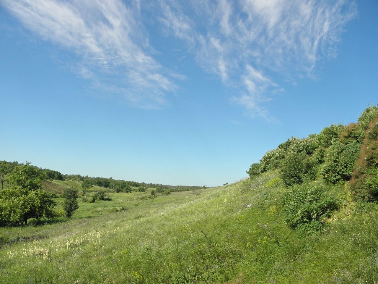 Калмыцкий Яр, image of landscape/habitat.