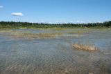 Елизаветинский карьер, image of landscape/habitat.