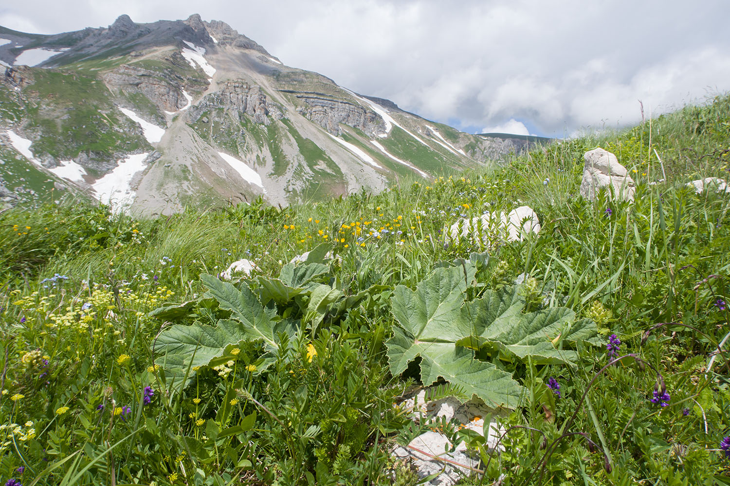 Гора Гузерипль, image of landscape/habitat.