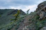 Яльчигулово и окрестности, image of landscape/habitat.