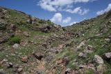 Image of landscape