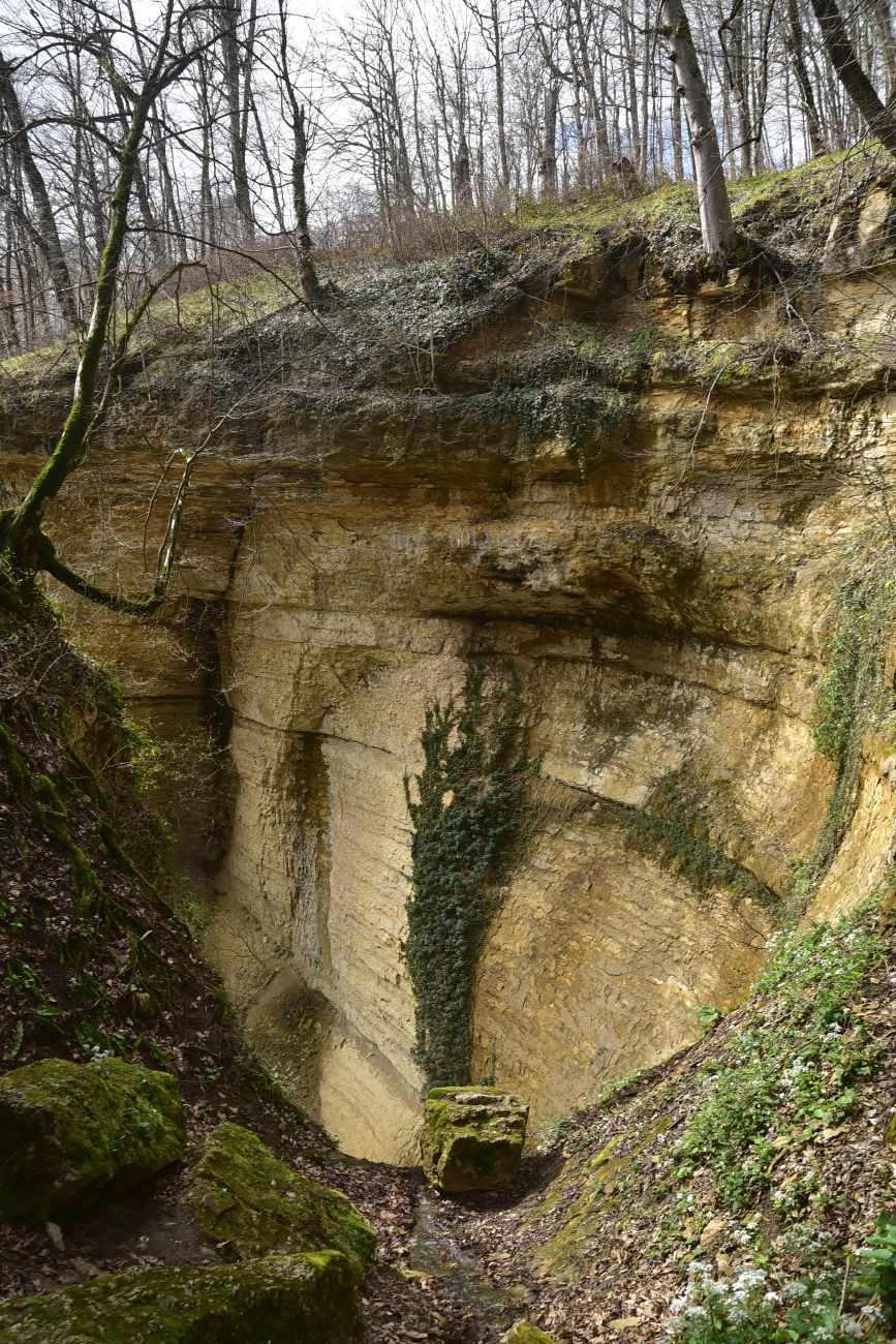 Водопад Космодром, image of landscape/habitat.