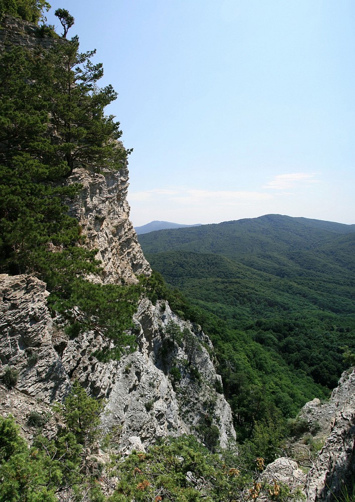 Папай, image of landscape/habitat.