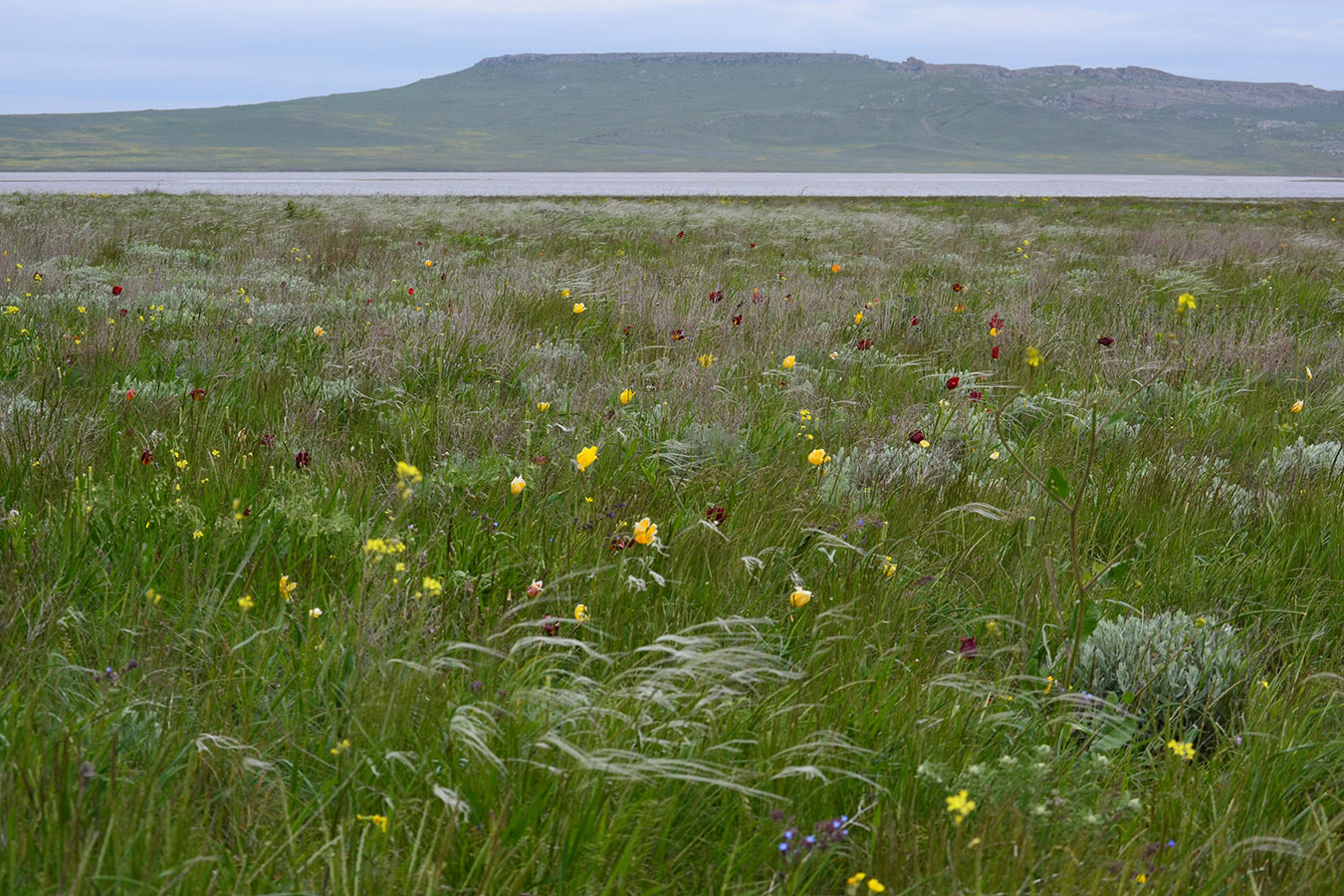 Урочище Латы (оз Узунлар), image of landscape/habitat.