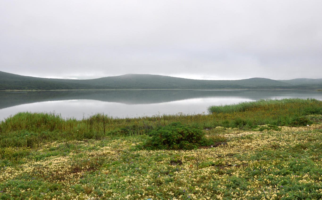 Бухта Удобная, image of landscape/habitat.