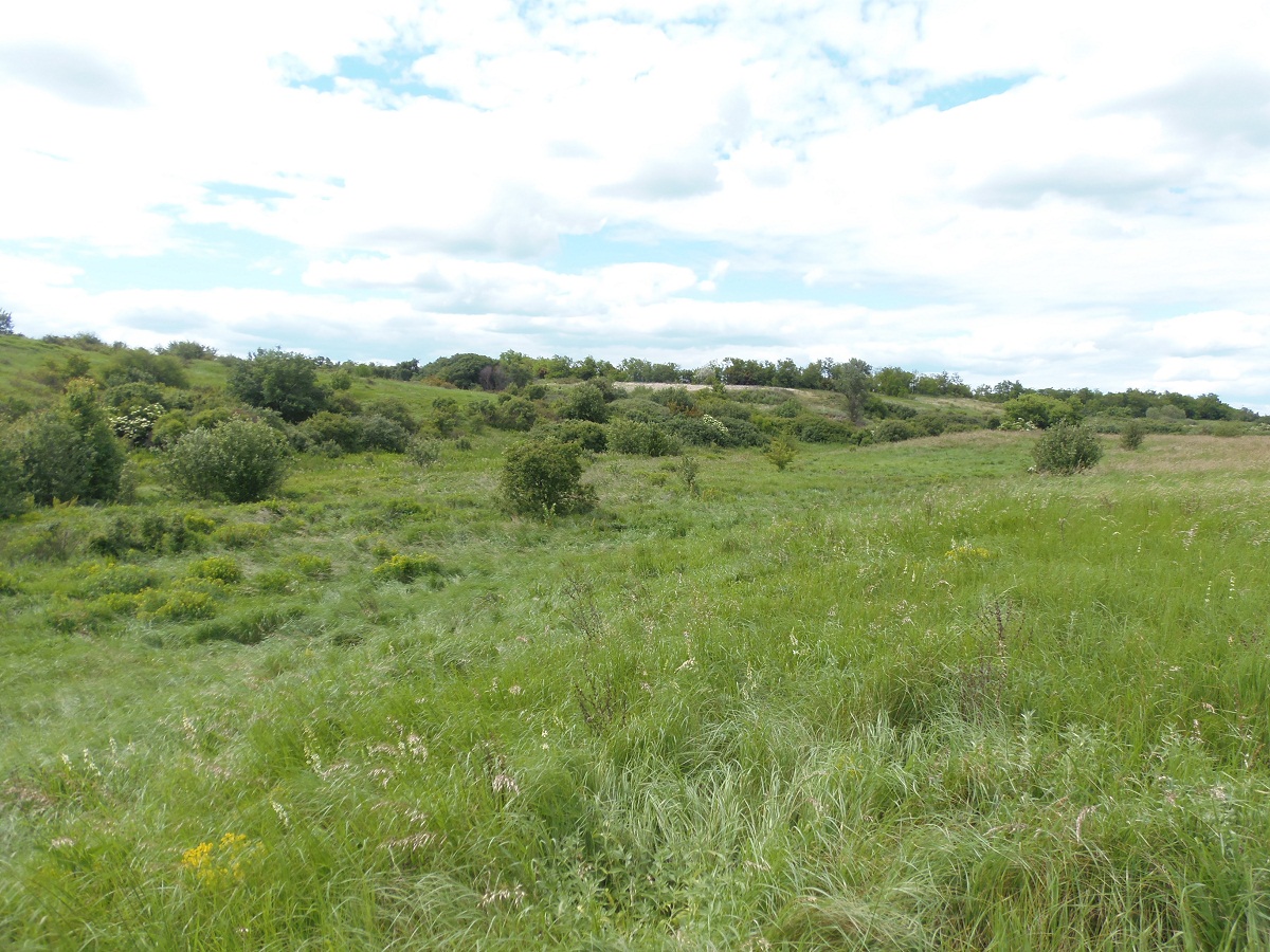 У Каменных могил, image of landscape/habitat.