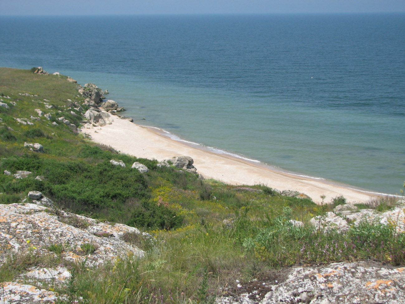 Караларская степь, image of landscape/habitat.