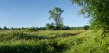 Image of landscape
