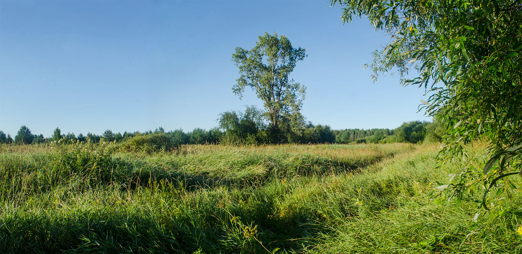 Окрестности Порубово, изображение ландшафта.