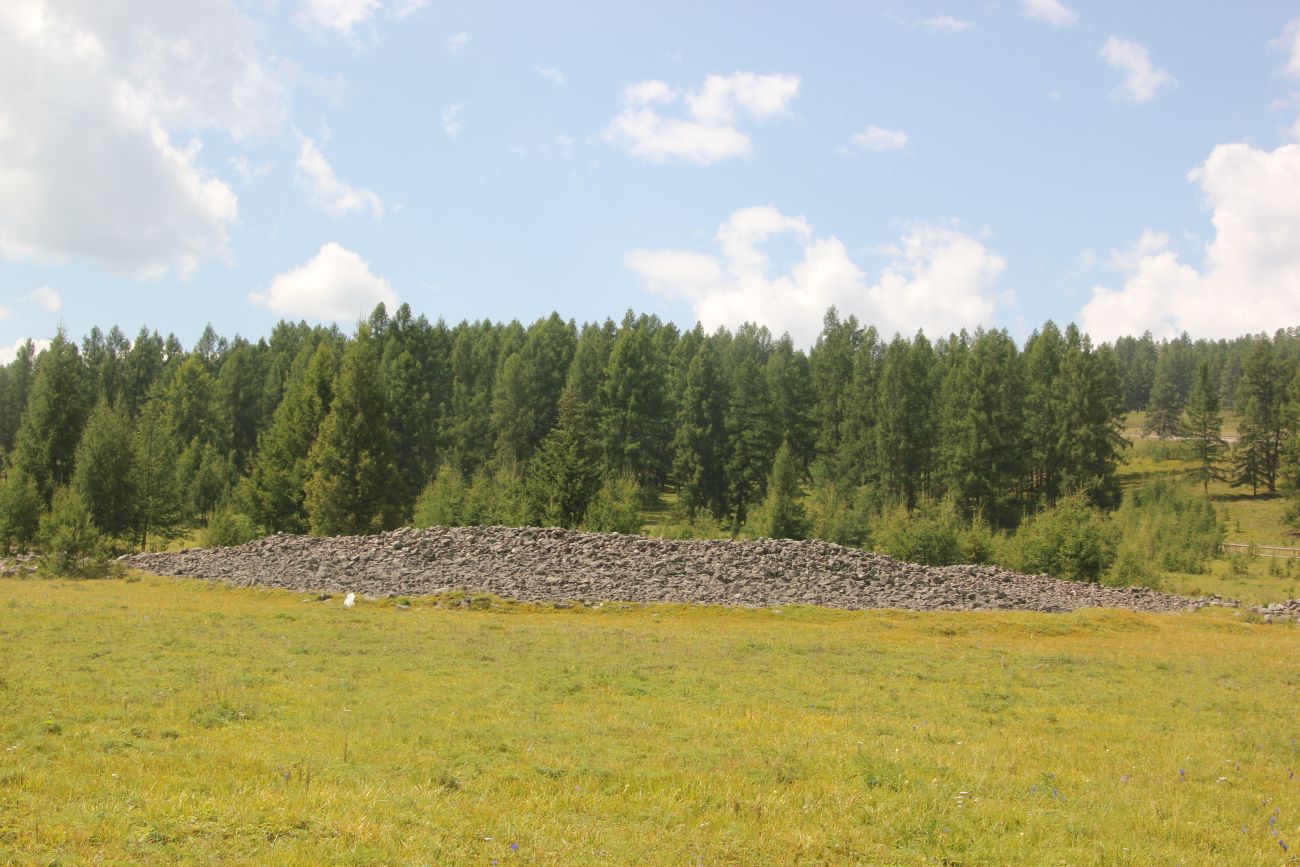 Урочище Пазырык, image of landscape/habitat.