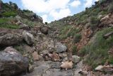 Image of landscape