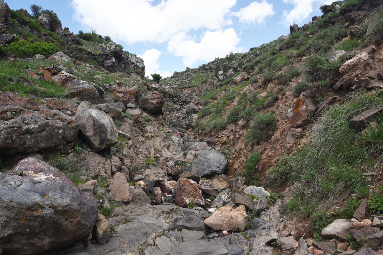 Дигорский карьер, image of landscape/habitat.