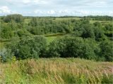 Image of landscape