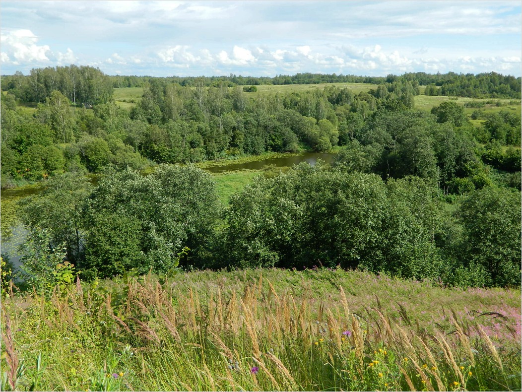 Верховья Каспли, image of landscape/habitat.