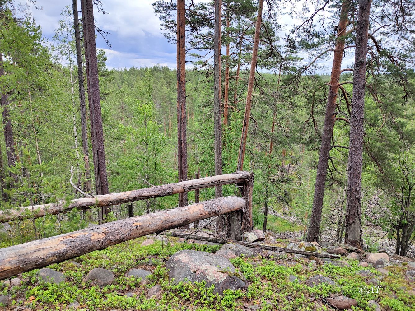 Озера Лоухенпяянламмет, изображение ландшафта.