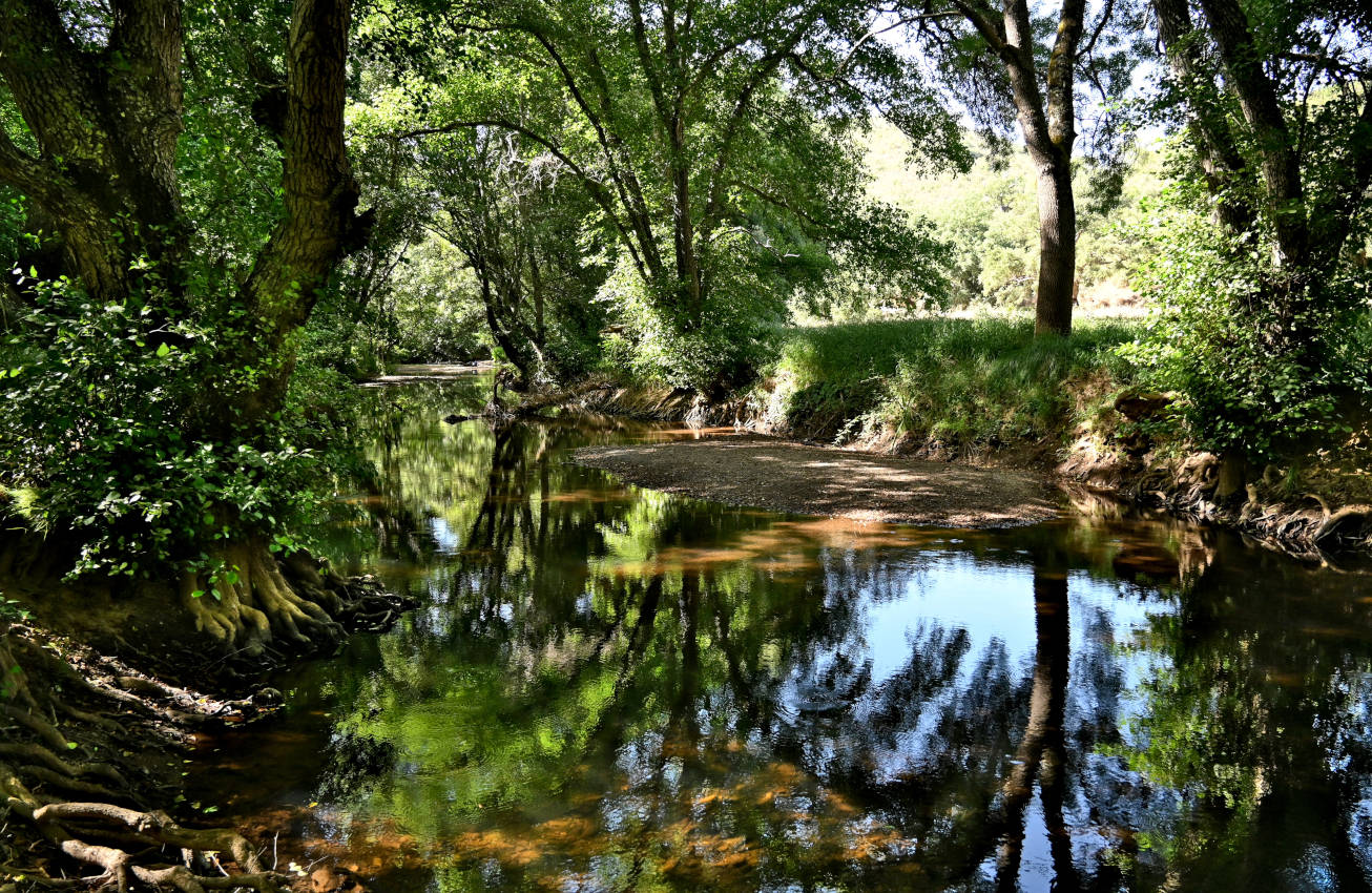 Долина реки Рибейра-ду-Торгал, image of landscape/habitat.
