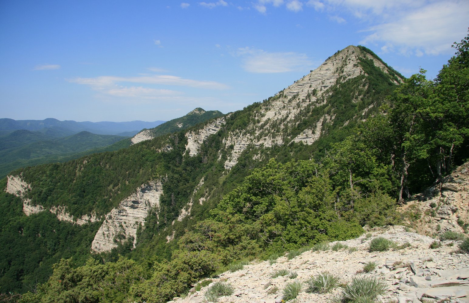 Папай, image of landscape/habitat.