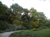 Image of landscape