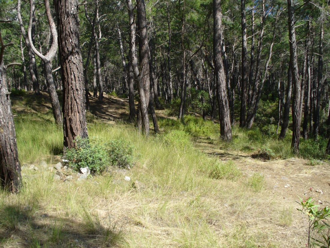 Кемер, image of landscape/habitat.