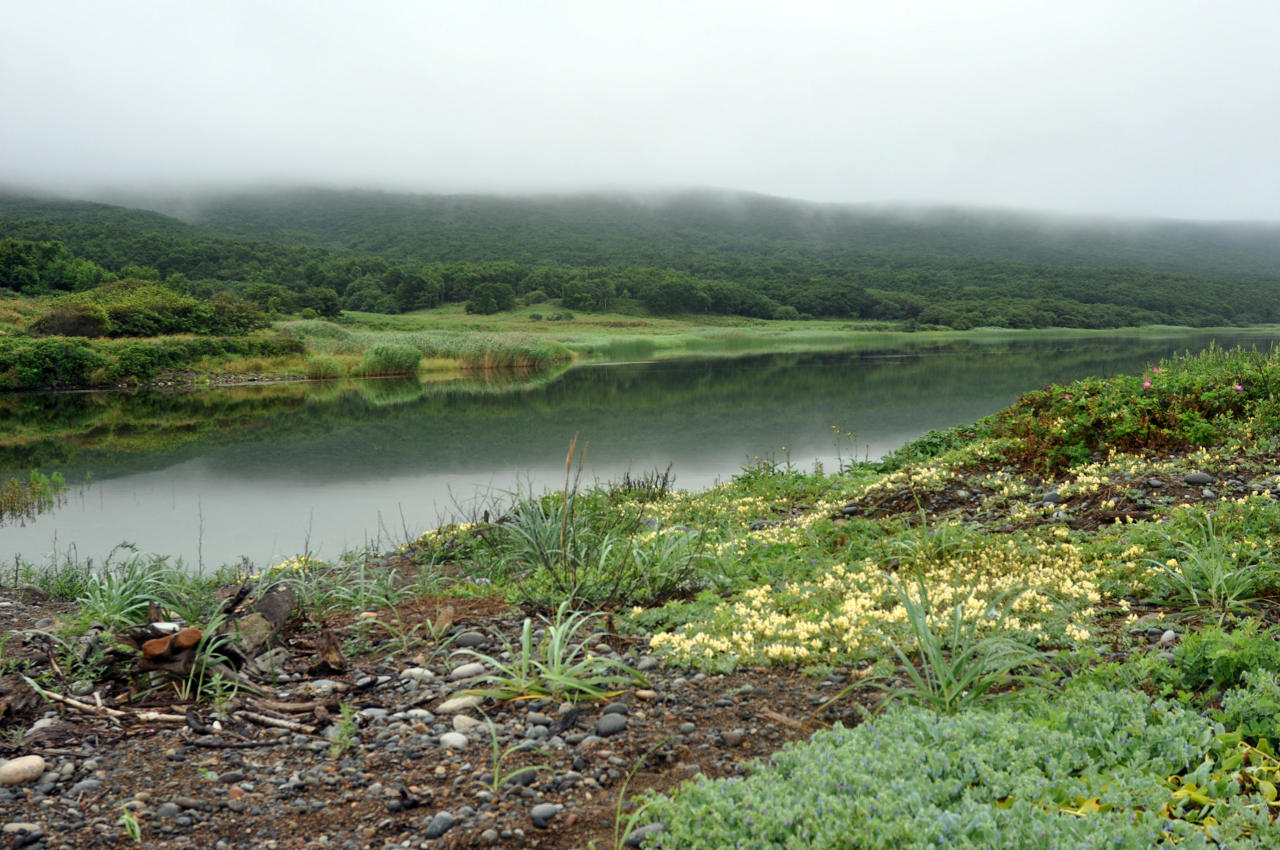 Бухта Удобная, image of landscape/habitat.