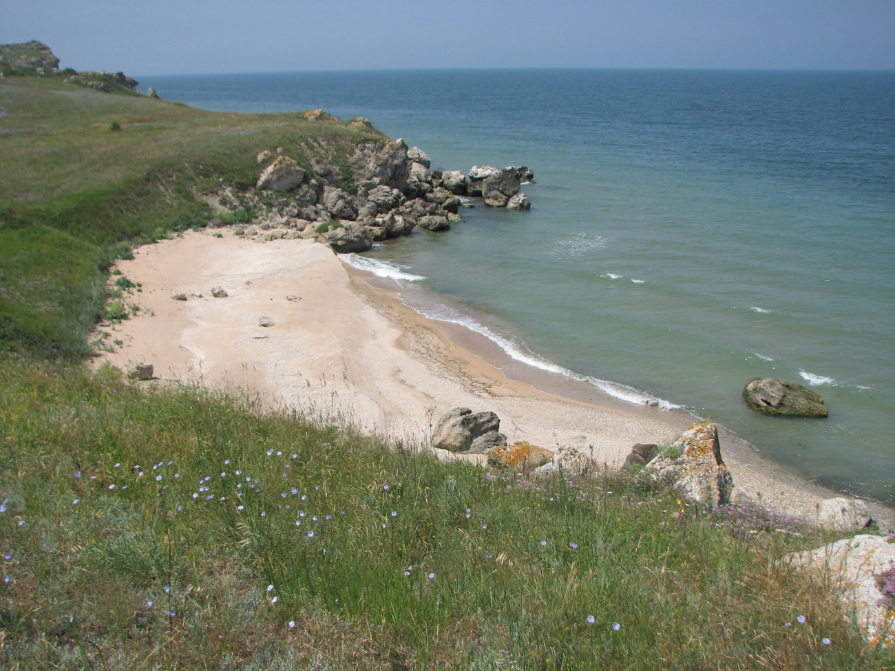 Караларская степь, image of landscape/habitat.