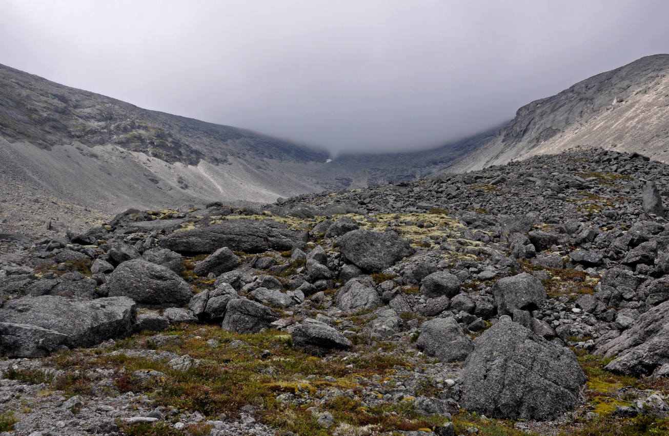 Перевал Северный Чорргор, image of landscape/habitat.
