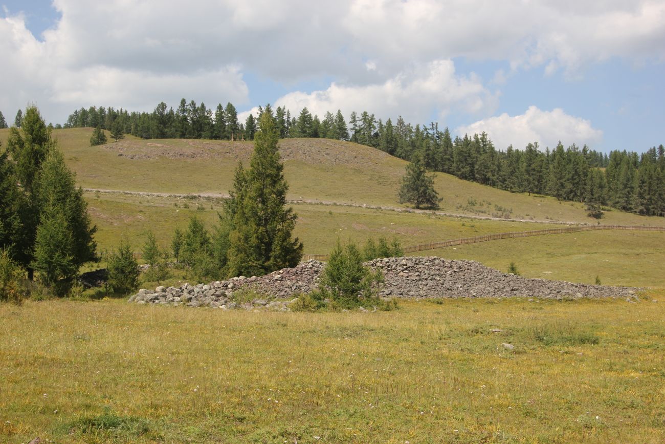 Урочище Пазырык, image of landscape/habitat.