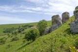 Image of landscape