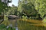 Долина реки Рибейра-ду-Торгал, image of landscape/habitat.