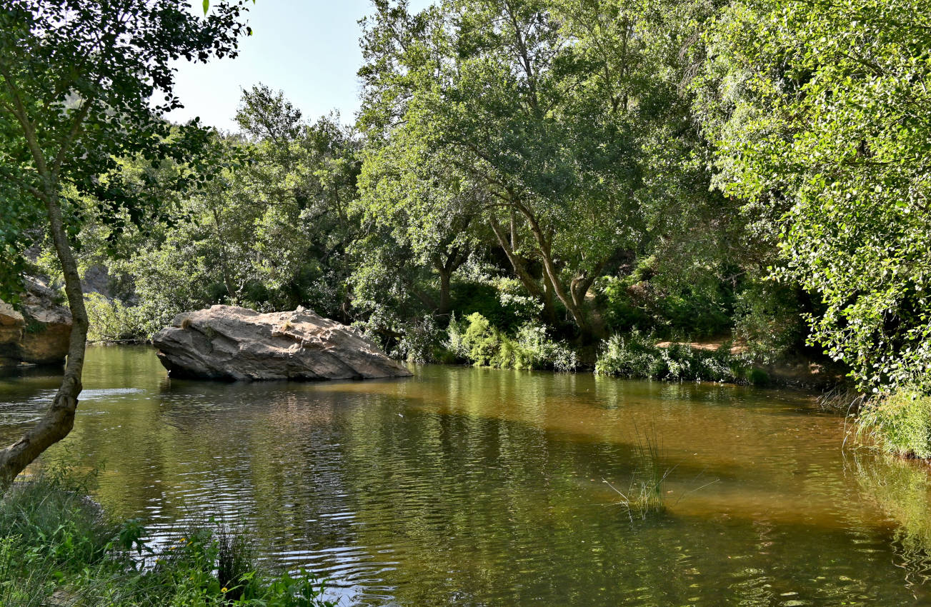 Долина реки Рибейра-ду-Торгал, image of landscape/habitat.