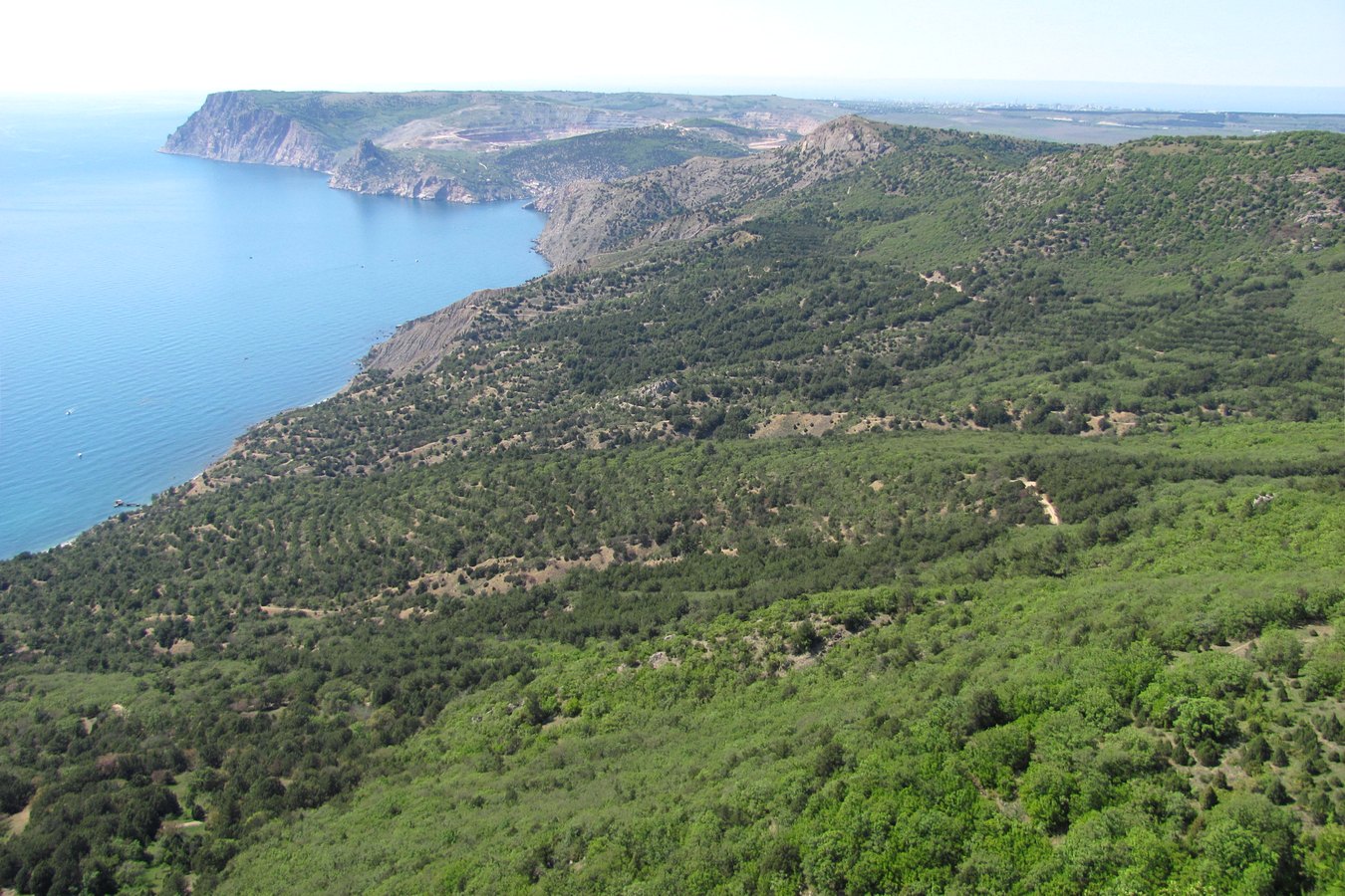 Балаклавские высоты, image of landscape/habitat.