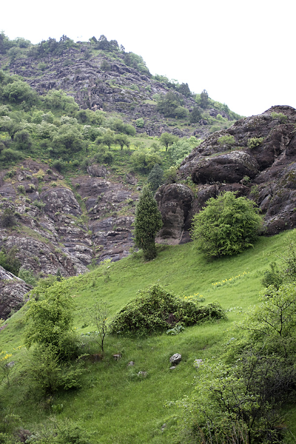 Ущелье Сингисафат, image of landscape/habitat.