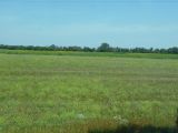 Выставочно-инновационный центр, image of landscape/habitat.