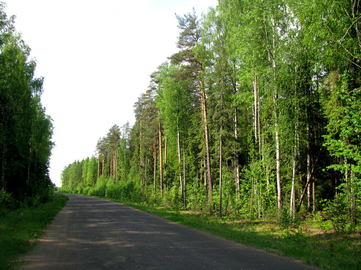 Бассейн Обноры, image of landscape/habitat.