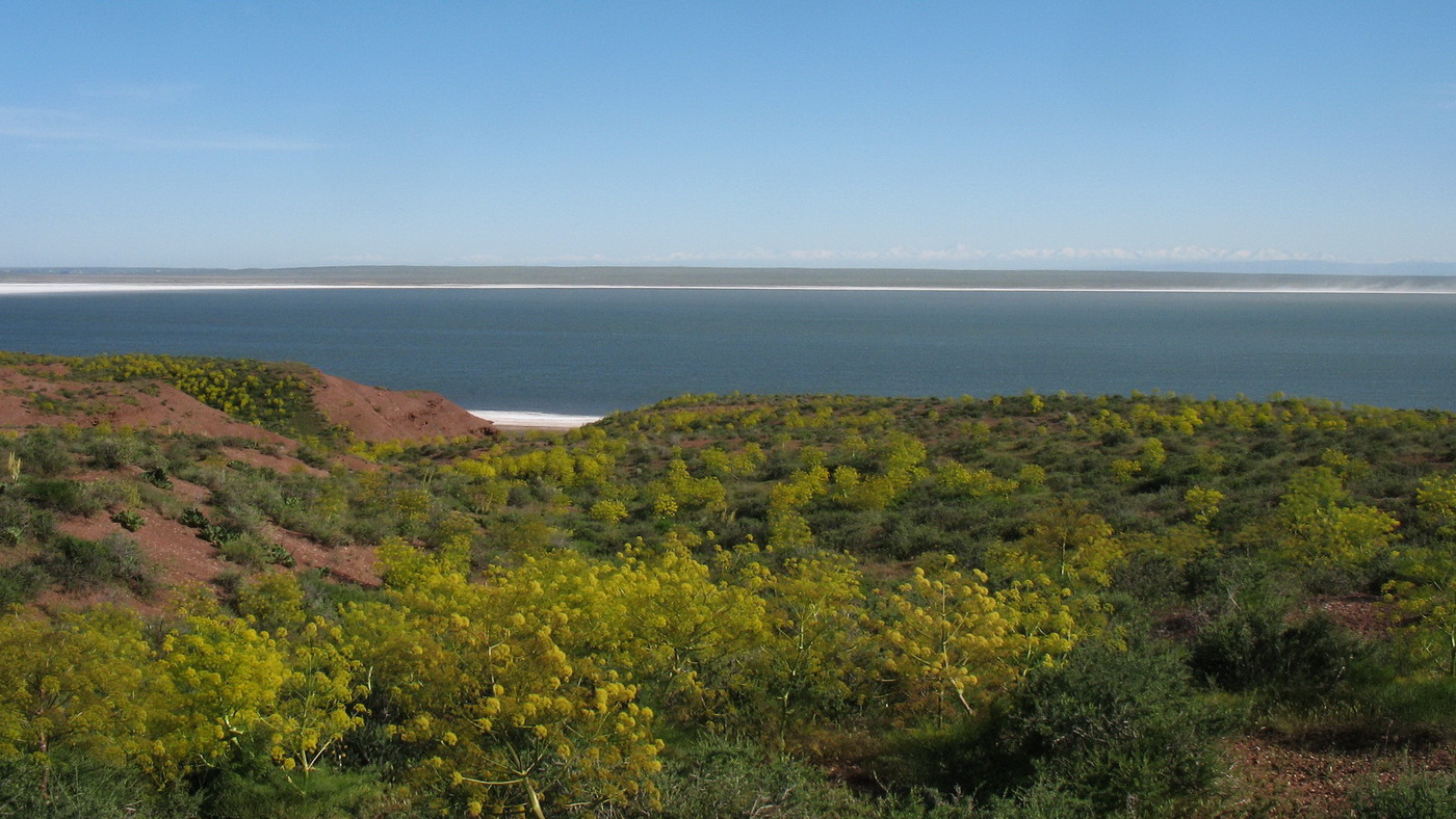 Ащиколь, image of landscape/habitat.