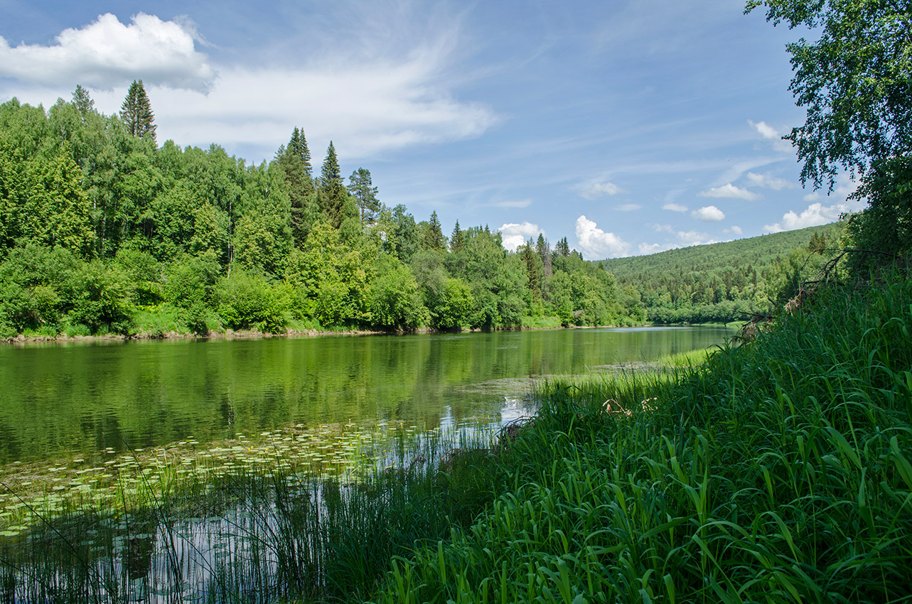 Окрестности Саргаи, image of landscape/habitat.