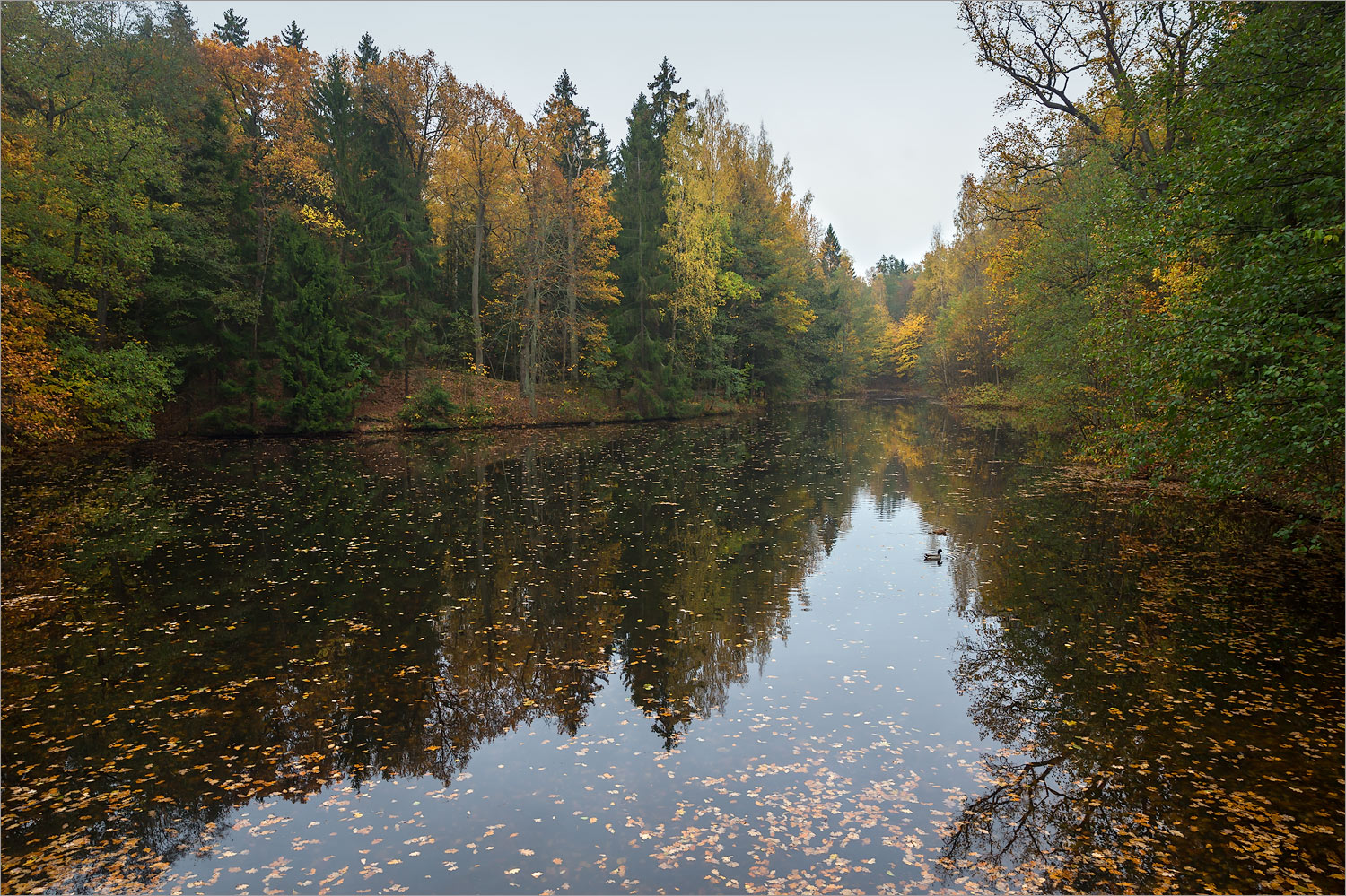 Парк "Сергиевка", image of landscape/habitat.